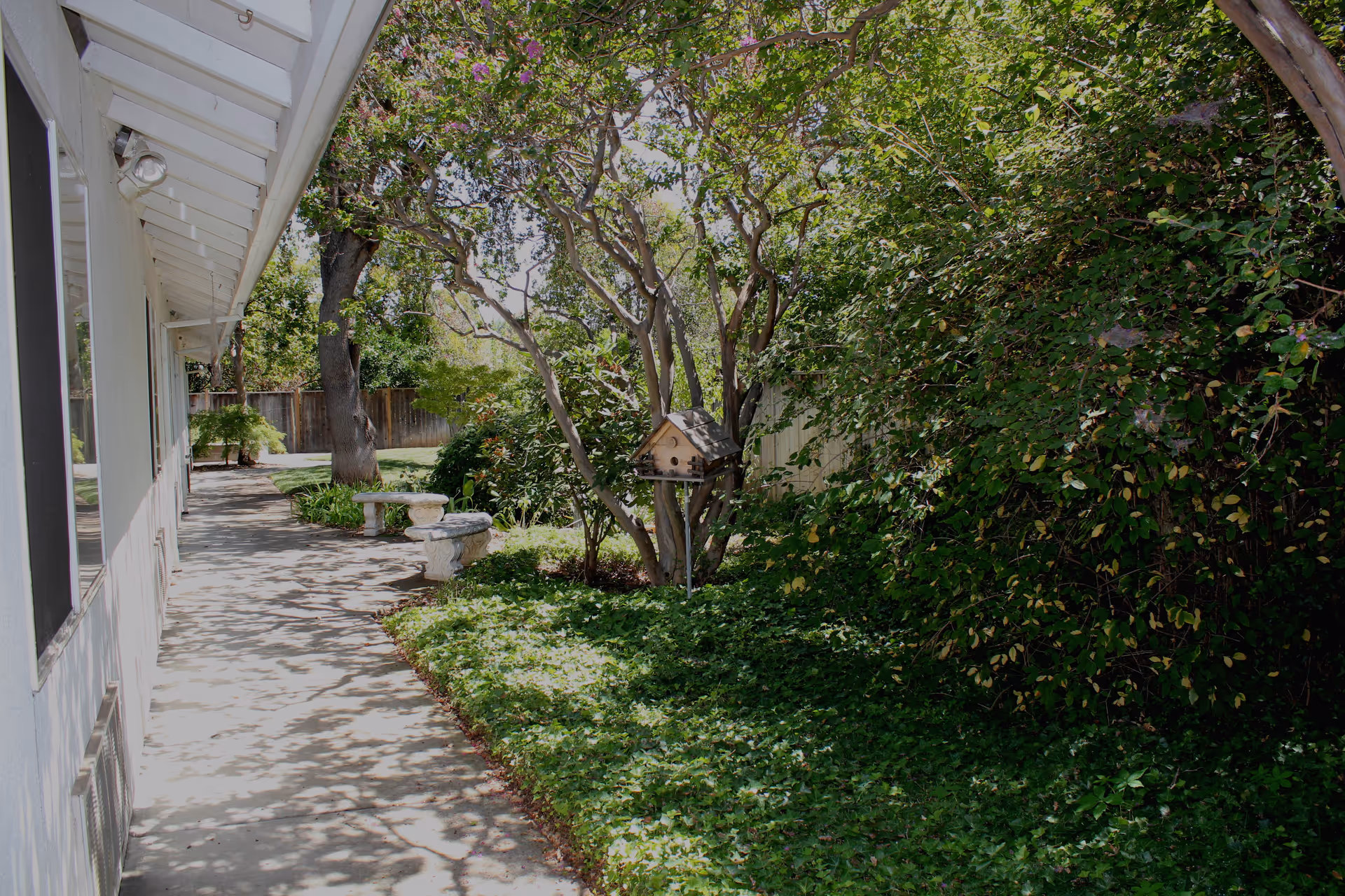 A shaded outdoor walkway beside a white building with windows. There are two stone benches along the path and a birdhouse mounted on a tree surrounded by lush green foliage and ground cover plants. A wooden fence and large trees are visible in the background.