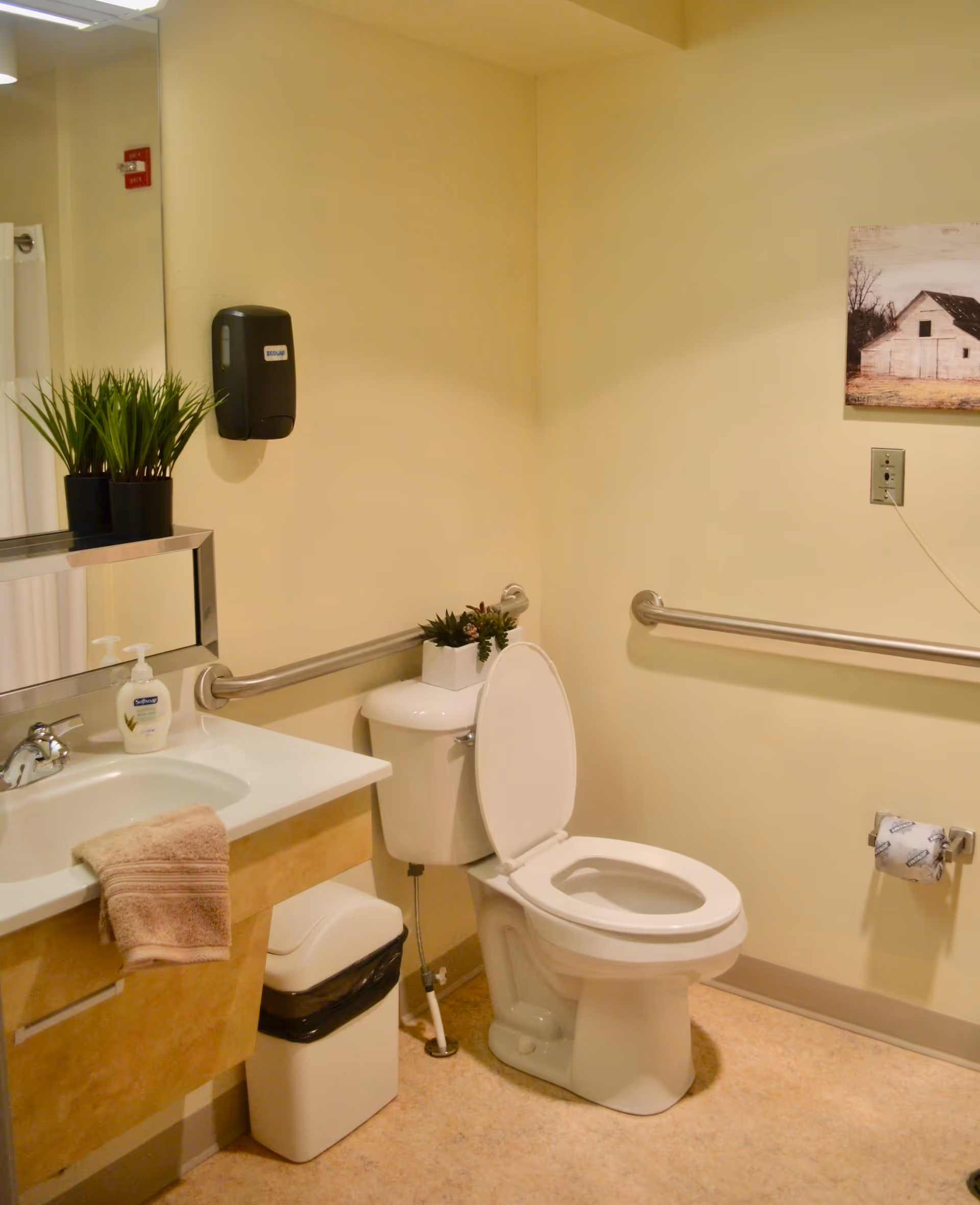 A clean and accessible bathroom with a white toilet with the lid open, a sink with a beige towel hanging over the edge, a soap dispenser, a small trash can, and two small potted plants on the sink counter and toilet tank. There are metal grab bars on the walls for support, a wall-mounted soap dispenser, and a framed picture of a barn on the wall.