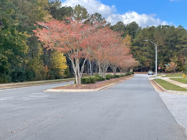 A paved road lined with trees that have red and orange leaves, with a forested area in the background under a partly cloudy sky. There is a sidewalk and a street lamp on the right side of the road.