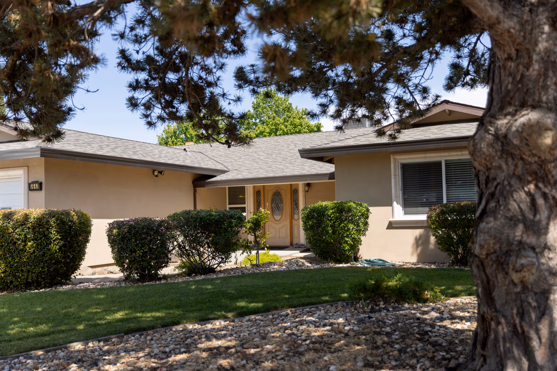Front exterior of a single-story care home with a central doorway, trimmed shrubs, and a large tree in the foreground.