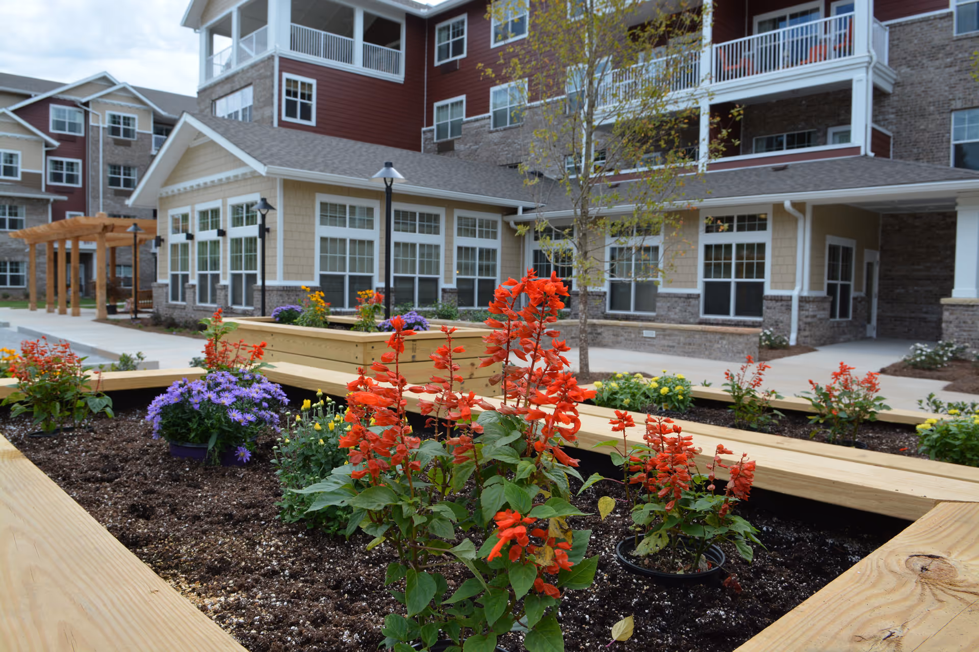 Raised wooden planters with red and purple flowering plants in a landscaped courtyard outside a multi-story senior living building.