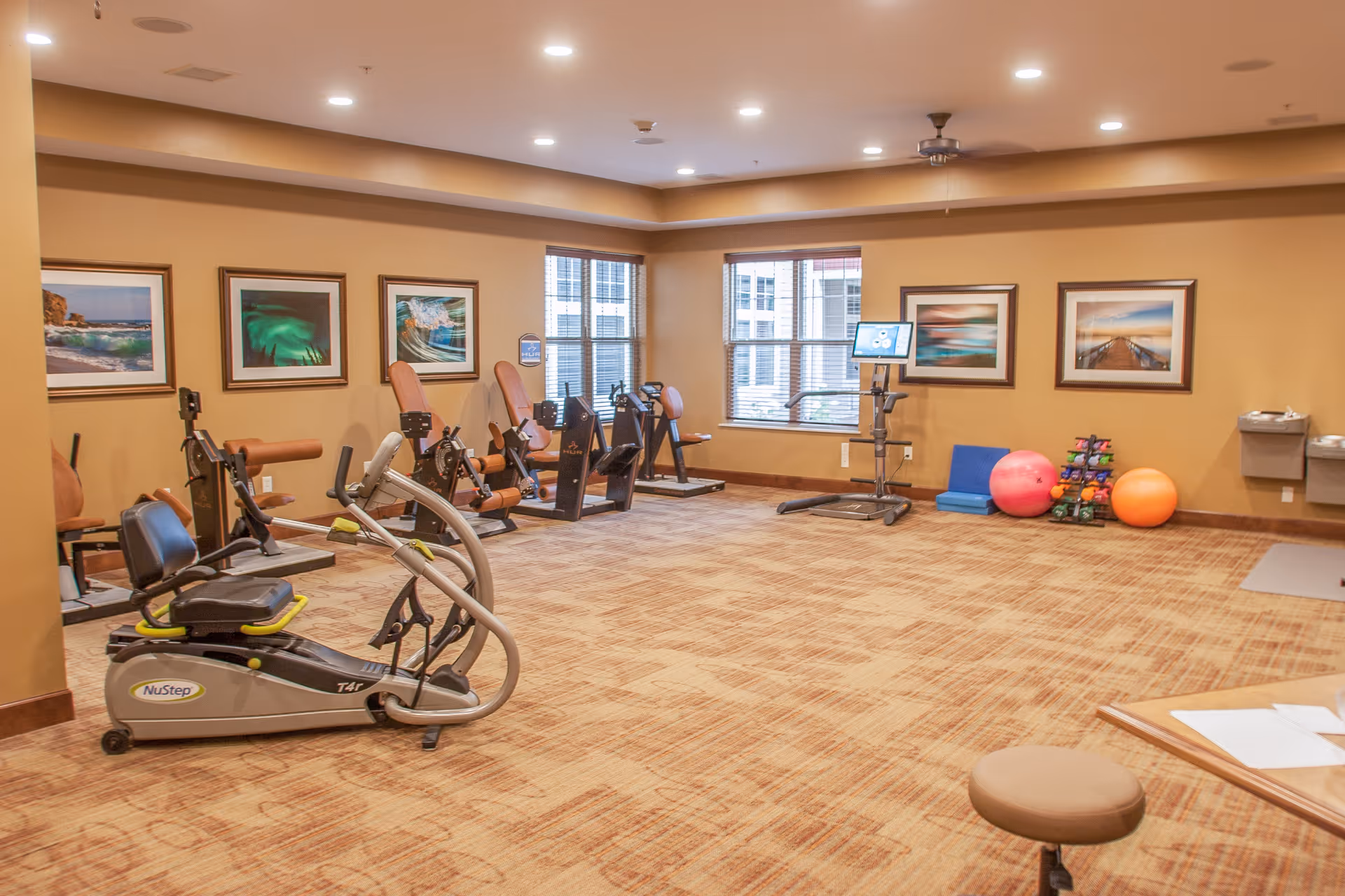A spacious exercise room with various fitness equipment including stationary bikes, a NuStep recumbent cross trainer, exercise balls, and a rack of small dumbbells. The room has beige walls adorned with framed landscape photographs, large windows letting in natural light, and a carpeted floor.
