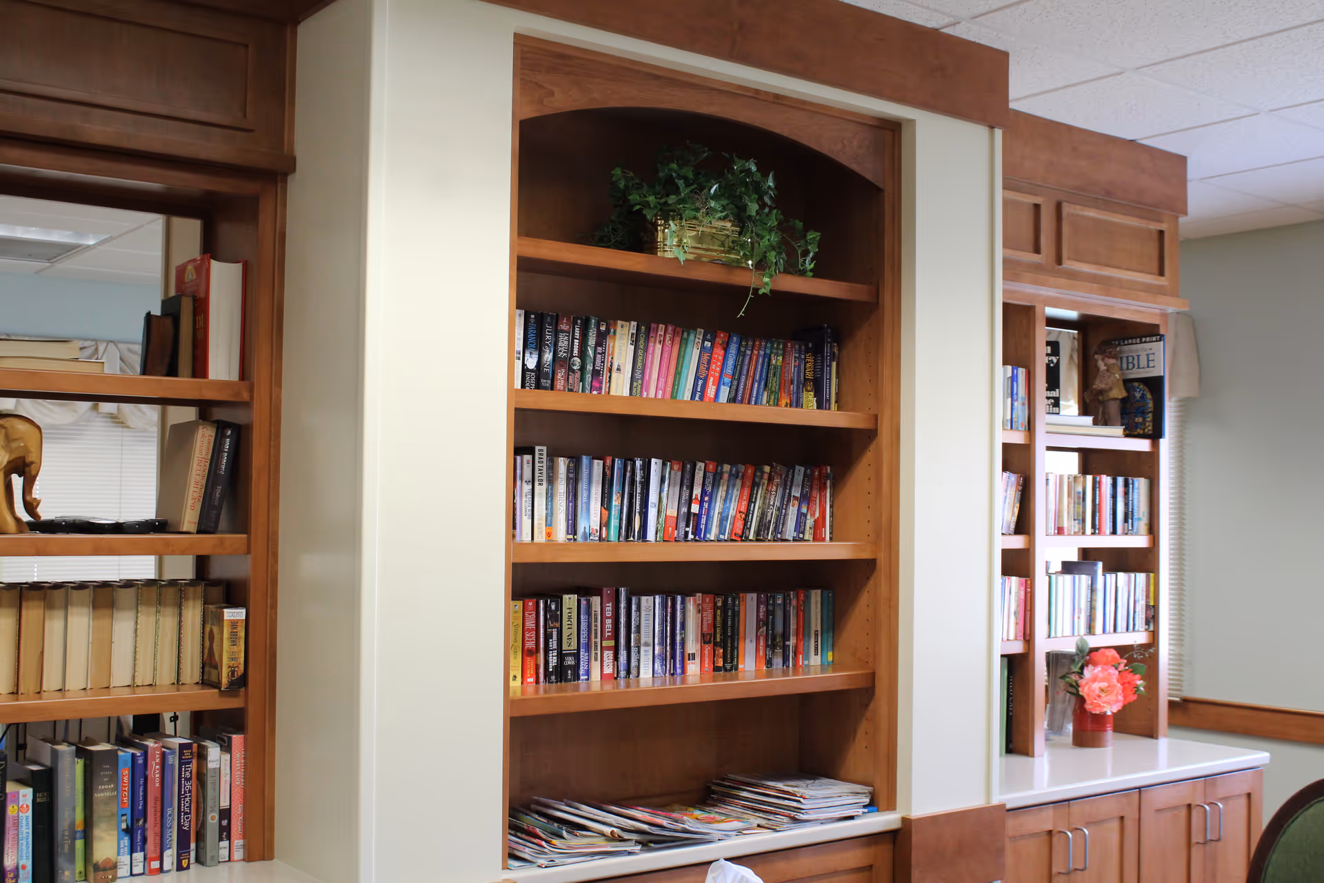 Interior view of a room with built-in wooden bookshelves filled with books and magazines. There is a green potted plant on the top shelf and a small vase with pink flowers on a countertop to the right. The room has light-colored walls and a ceiling with recessed lighting.