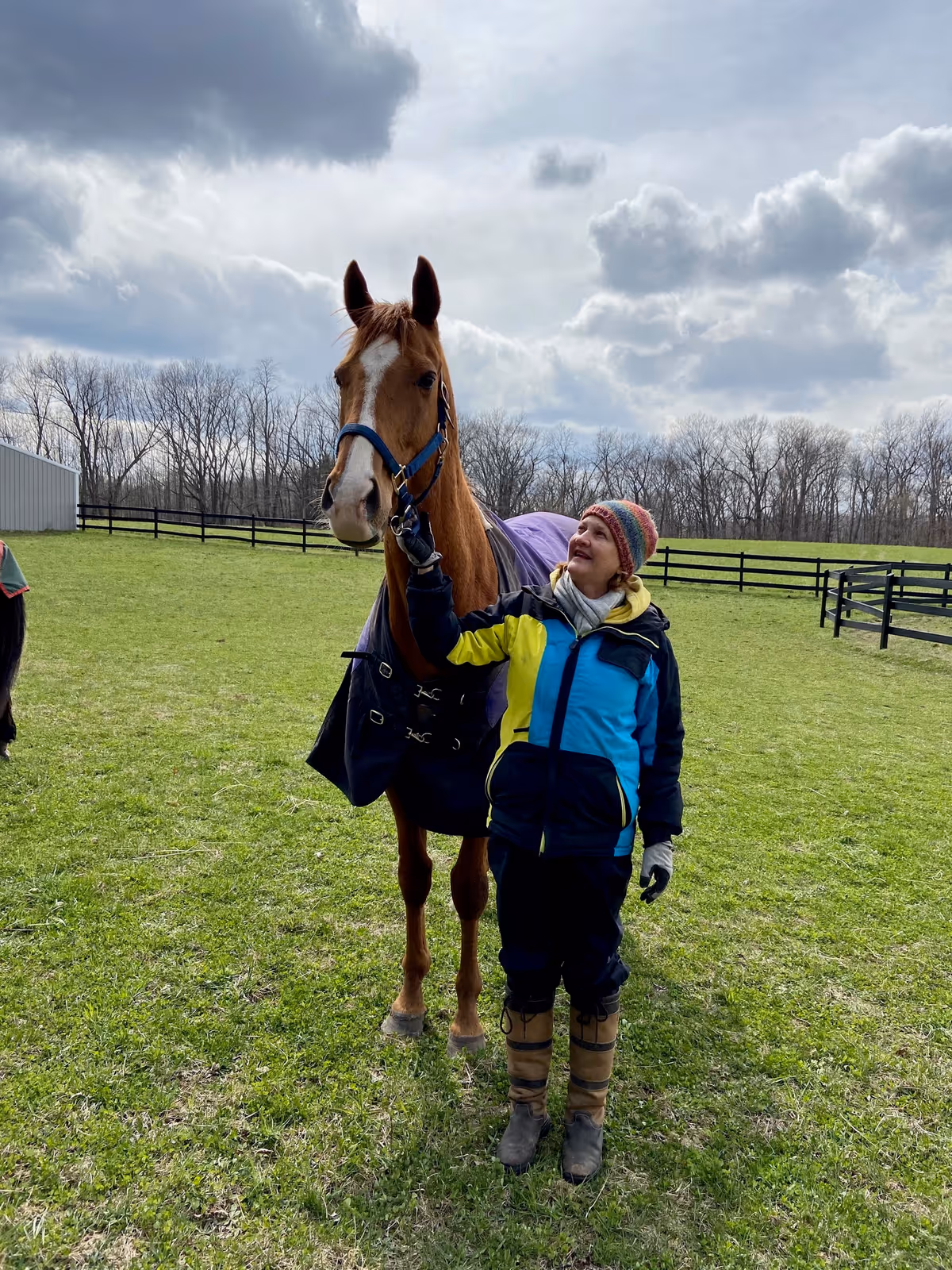 A person wearing a colorful jacket, gloves, and a knit hat is standing on a grassy field holding the reins of a brown horse with a white blaze on its face. The horse is wearing a blanket. In the background, there are leafless trees, a fence, and a cloudy sky.
