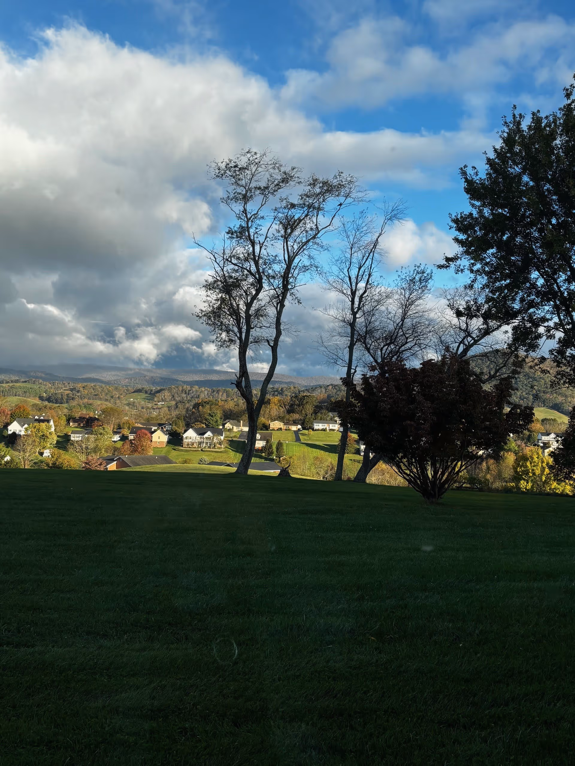 A scenic outdoor view featuring a green grassy area in the foreground, several trees with sparse leaves, and a distant neighborhood with houses under a partly cloudy blue sky.