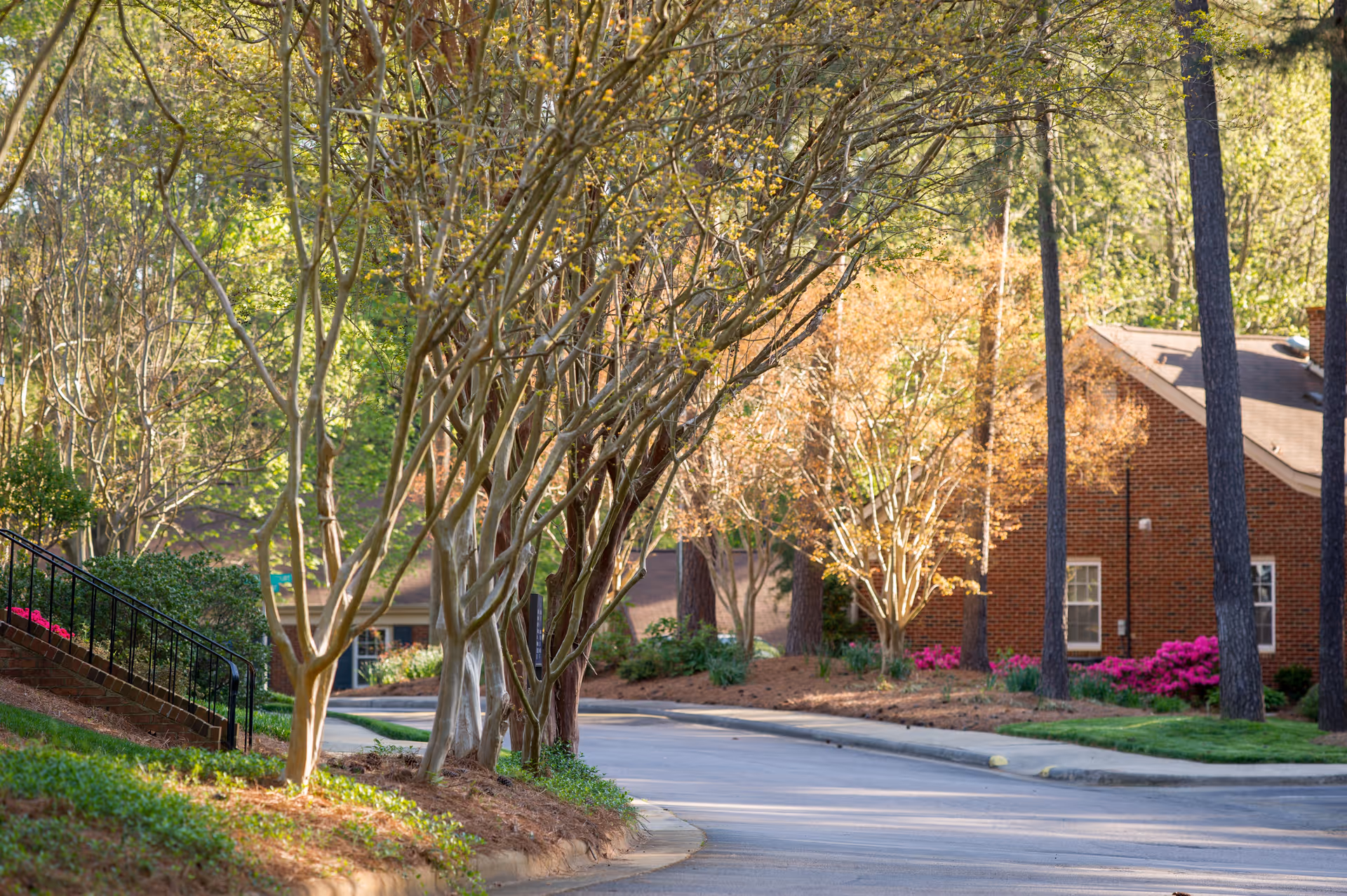 A tree-lined driveway winding past brick buildings and flowering shrubs in a landscaped retirement community.