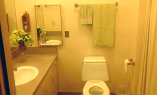 A small bathroom with a white toilet, a countertop with a sink, a mirror above the sink, a green towel hanging on the wall, a toilet paper holder with toilet paper, a fire extinguisher mounted on the wall, and a vase with yellow flowers on the countertop.