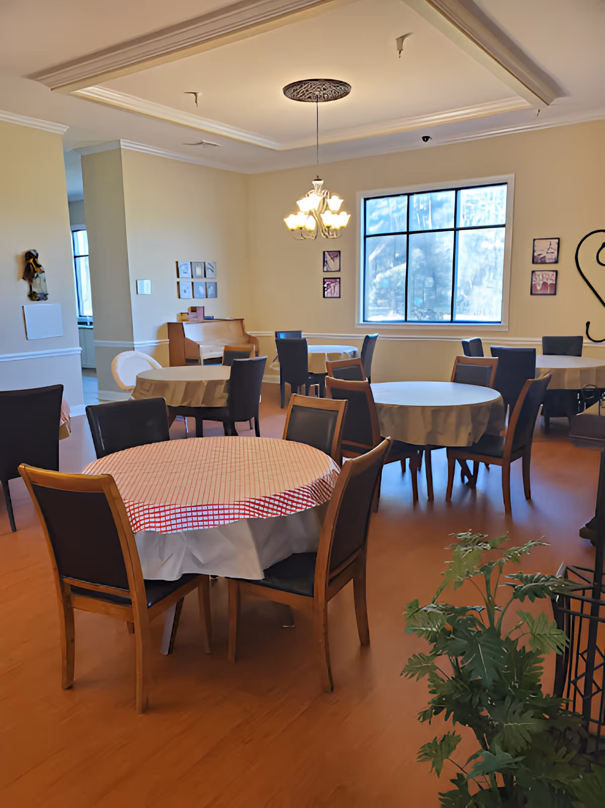 A dining room with several round tables covered with tablecloths and surrounded by chairs. There is a chandelier hanging from the ceiling, a large window letting in natural light, a piano against the wall, and some framed pictures on the walls. A green plant is visible in the foreground.