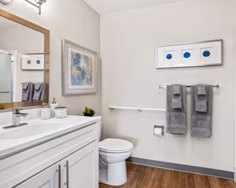 Bright accessible bathroom with a white vanity and mirror, toilet, wall-mounted grab bar, and gray towels on a wood-look floor.
