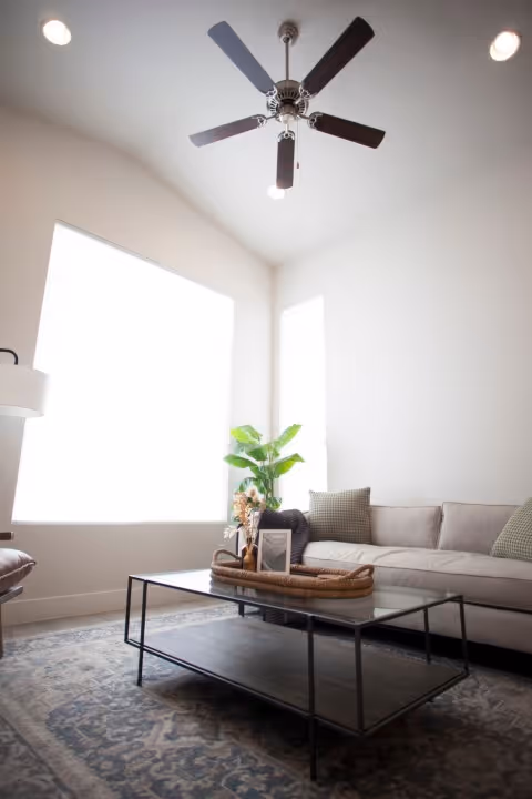 Bright living room with a sofa, glass coffee table, large windows, ceiling fan, and a potted plant.