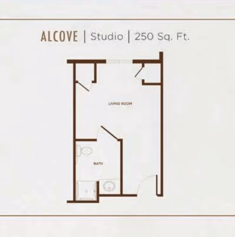 Floor plan of an alcove studio apartment with 250 square feet, showing a living room area and a bathroom with a toilet, sink, and shower.
