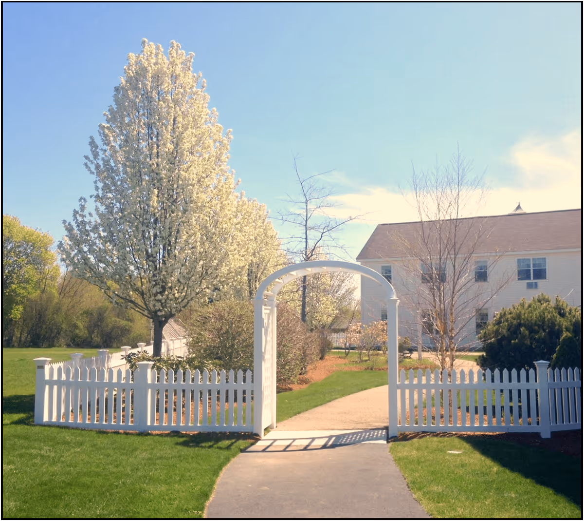 A white wooden archway and picket fence leading to a garden path with blooming trees and shrubs. A two-story building is visible in the background under a clear blue sky.