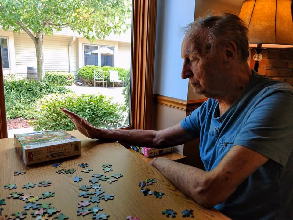An elderly man sitting at a wooden table inside a room, working on a jigsaw puzzle with scattered puzzle pieces and a puzzle box labeled 'Harmony' on the table. There is a large window behind him showing green bushes, a tree, and outdoor chairs. A lamp and brick wall are visible in the background.