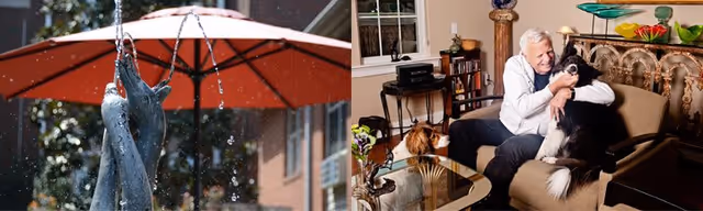 Left side shows a close-up of a dolphin-shaped water fountain with water spraying from its mouth under a large red umbrella. Right side shows an elderly man sitting on a couch in a living room, smiling and hugging a black and white dog, with another dog sitting nearby on the floor.