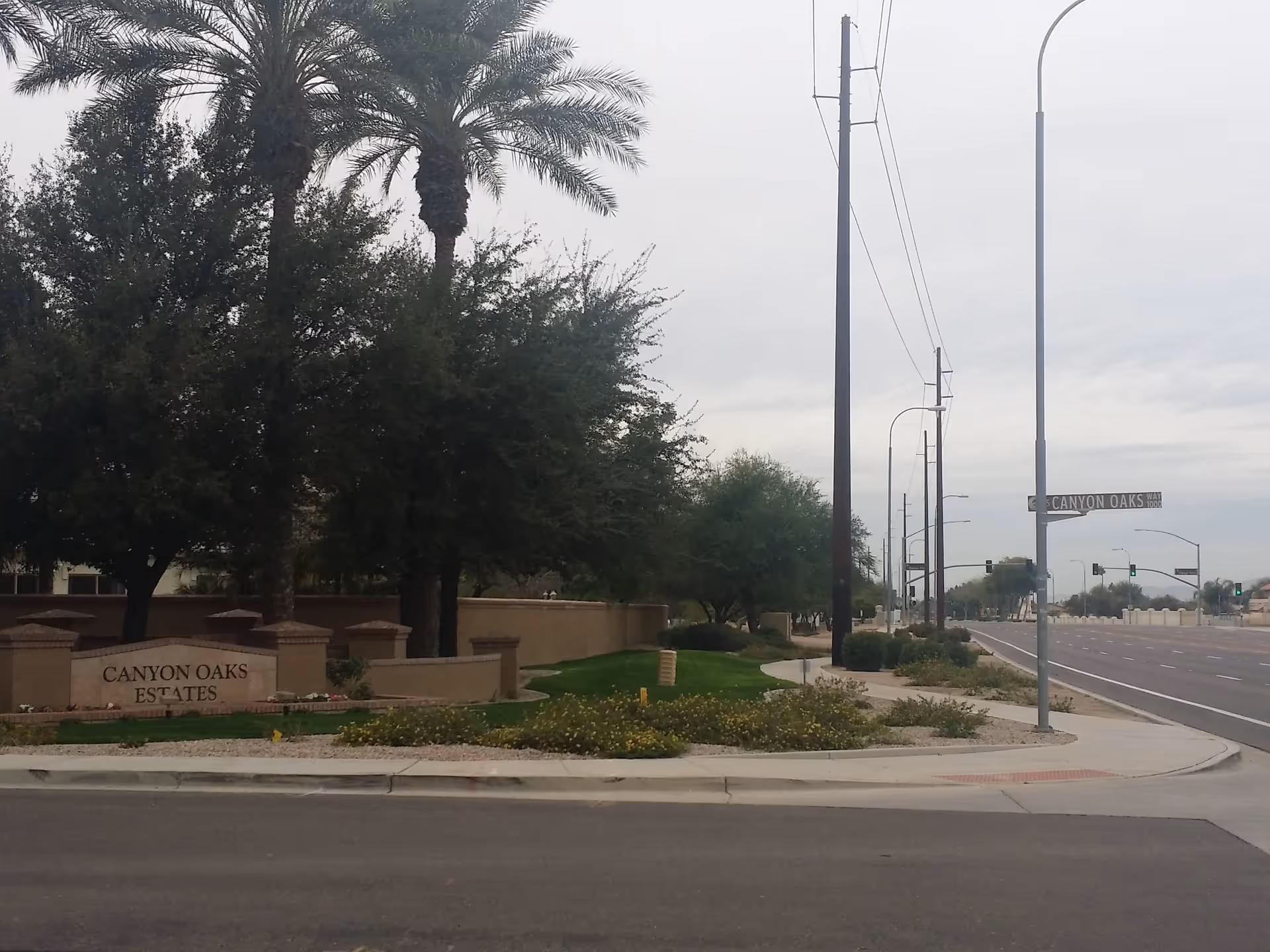 Landscape entrance to Canyon Oaks Estates with palm trees, a sidewalk and a multi-lane road at an intersection.