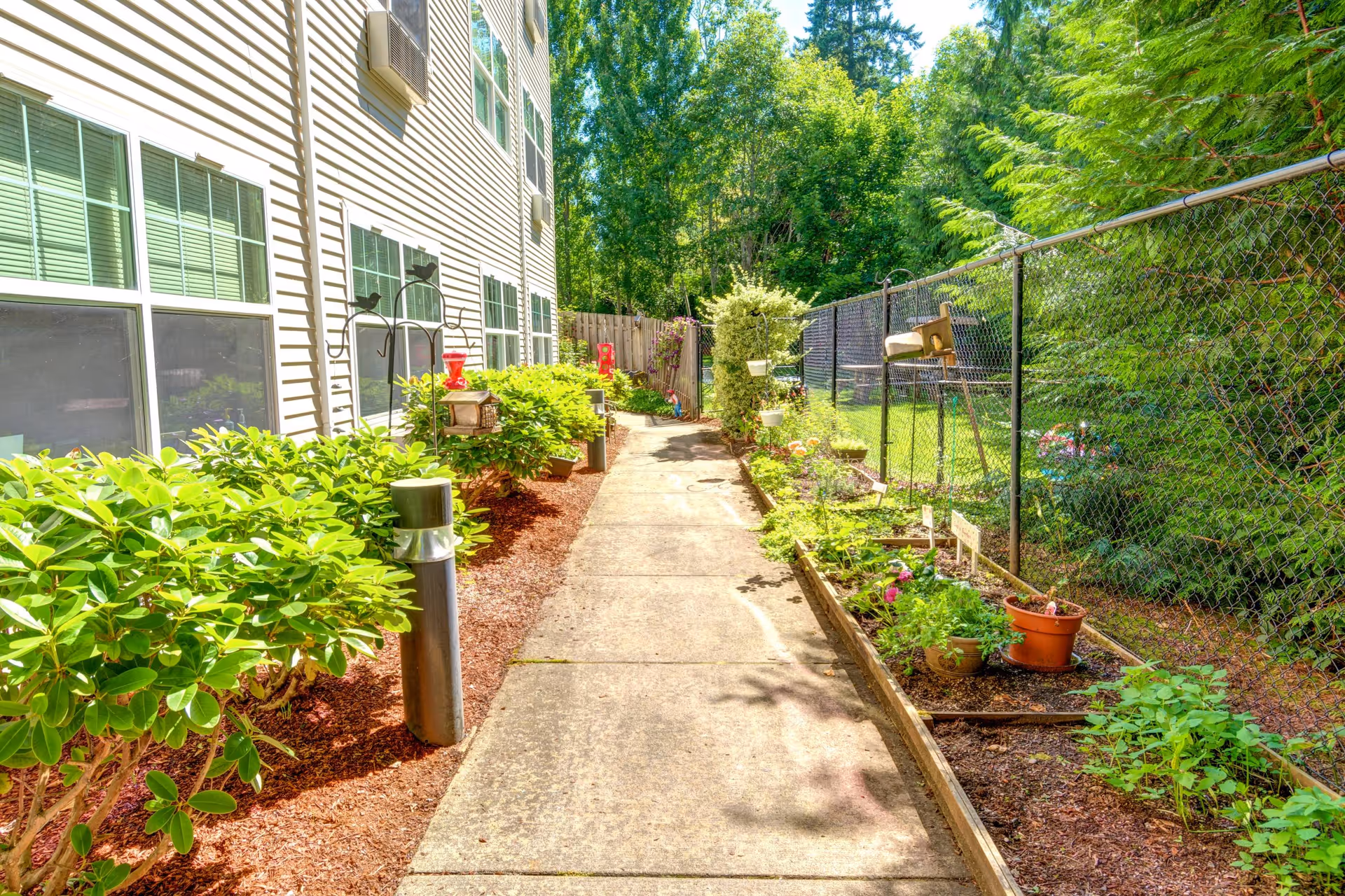 Sunlit concrete walkway beside a senior living building bordered by shrubs, potted plants and a chain-link fence.