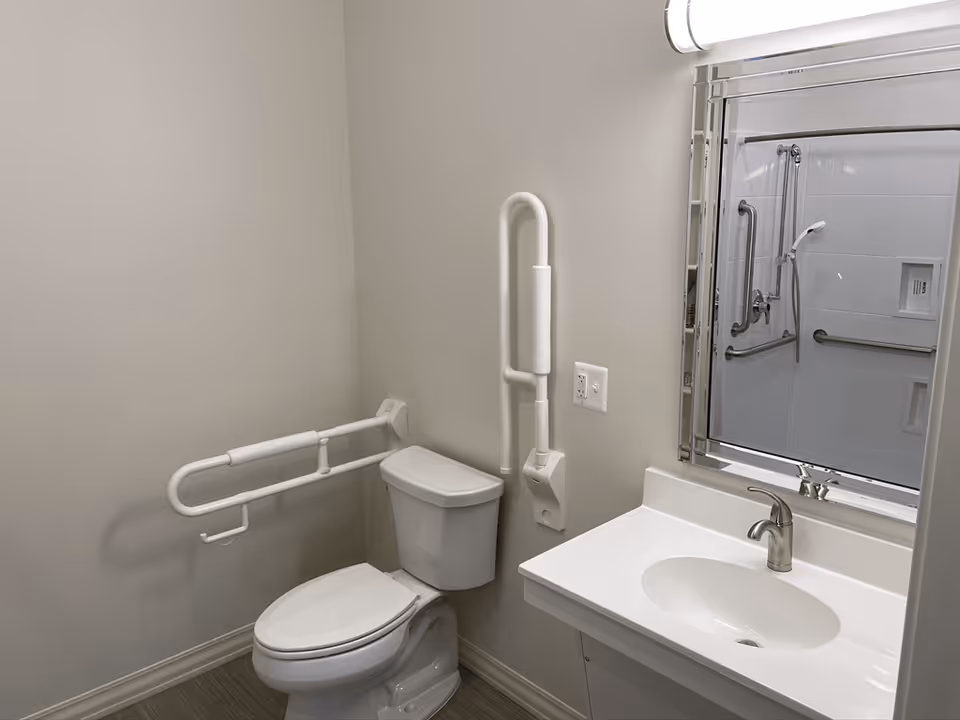 A clean and accessible bathroom with a white toilet equipped with safety grab bars on the wall and beside the toilet. There is a white sink with a silver faucet and a large mirror above it reflecting a shower area with additional grab bars and a handheld showerhead.
