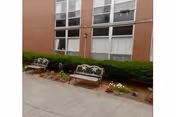 Exterior brick building facade with two benches, hedges, and planters along a walkway.