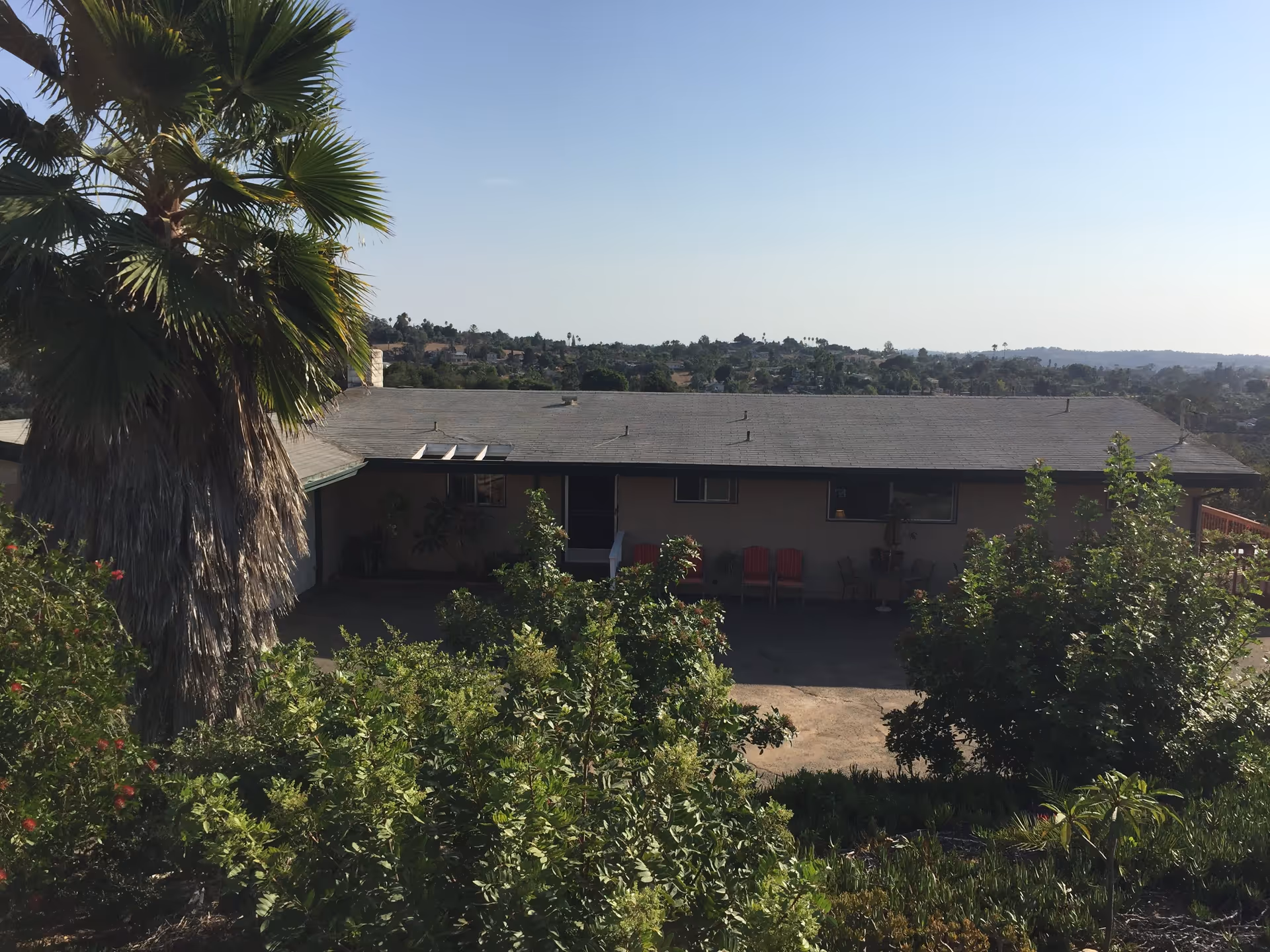 View of a single-story building with a gray roof partially obscured by green trees and bushes in the foreground. There is a large palm tree on the left side and a clear blue sky above. The building has a small covered porch area with red chairs and some potted plants.