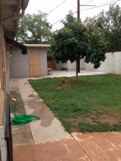 A backyard area with a concrete walkway, green grass, a tree in the middle, a garden hose coiled on the ground, a small shed with a closed door, and a white wooden fence surrounding the yard.
