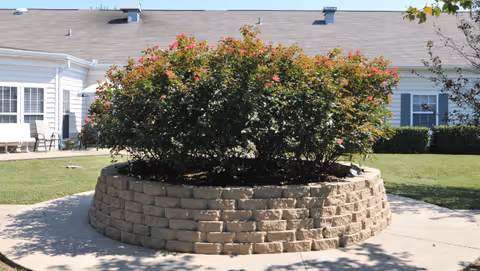 A circular raised flower bed made of beige bricks with green bushes and pink flowers in the center, located outdoors on a paved area with a white building and green lawn in the background.