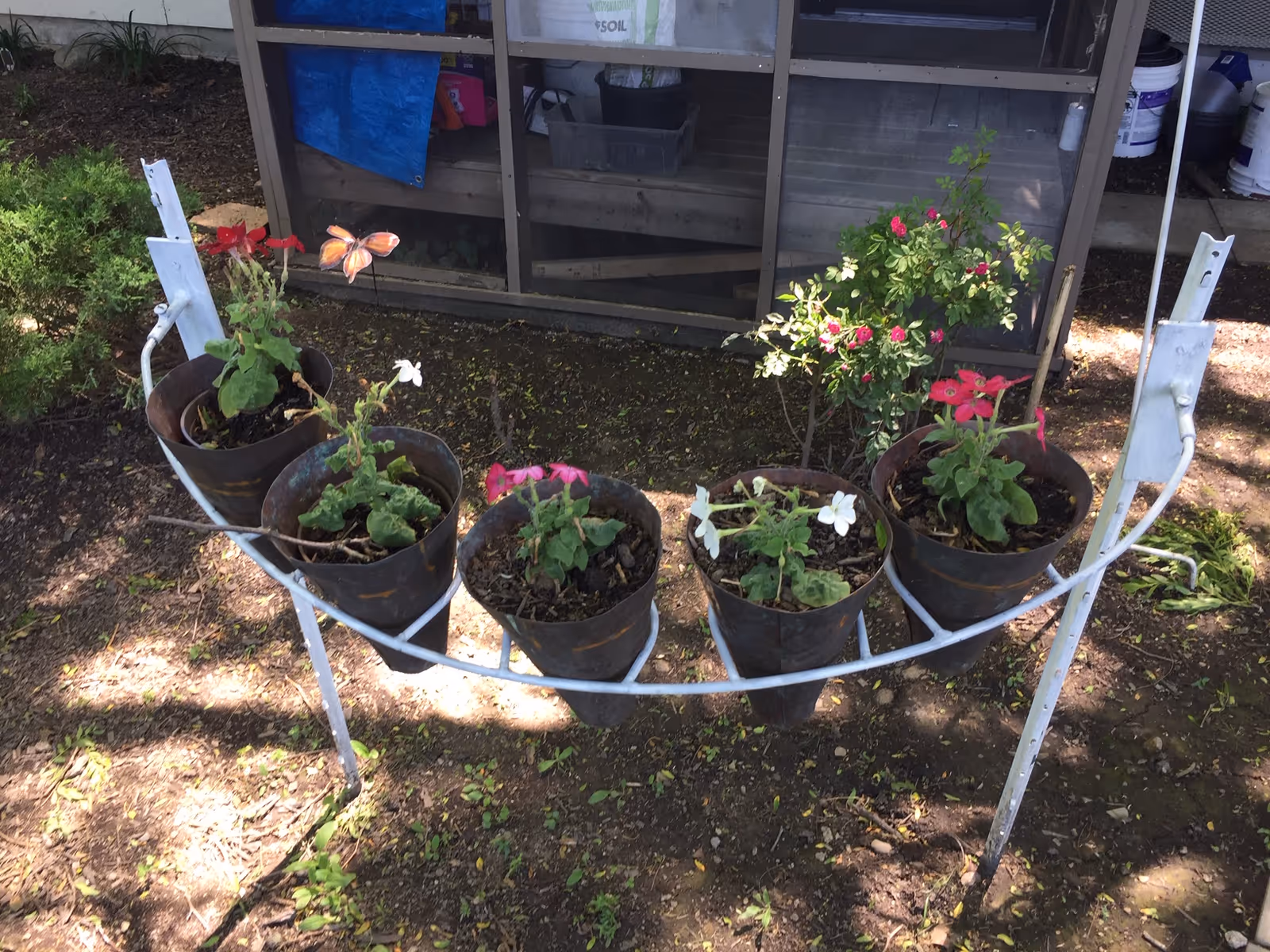 Metal plant stand holding six potted flowering plants in a garden area in front of a screened porch.