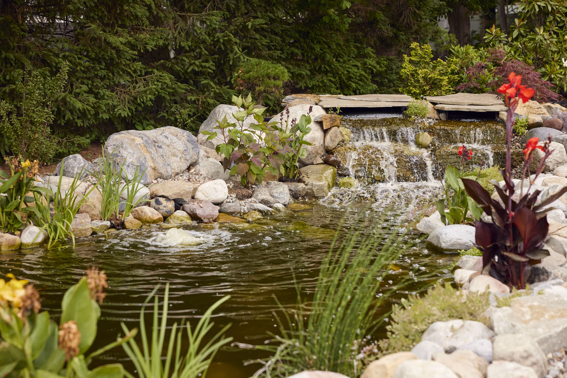 A serene outdoor garden scene featuring a small pond with a cascading waterfall surrounded by rocks and various green plants and flowers.