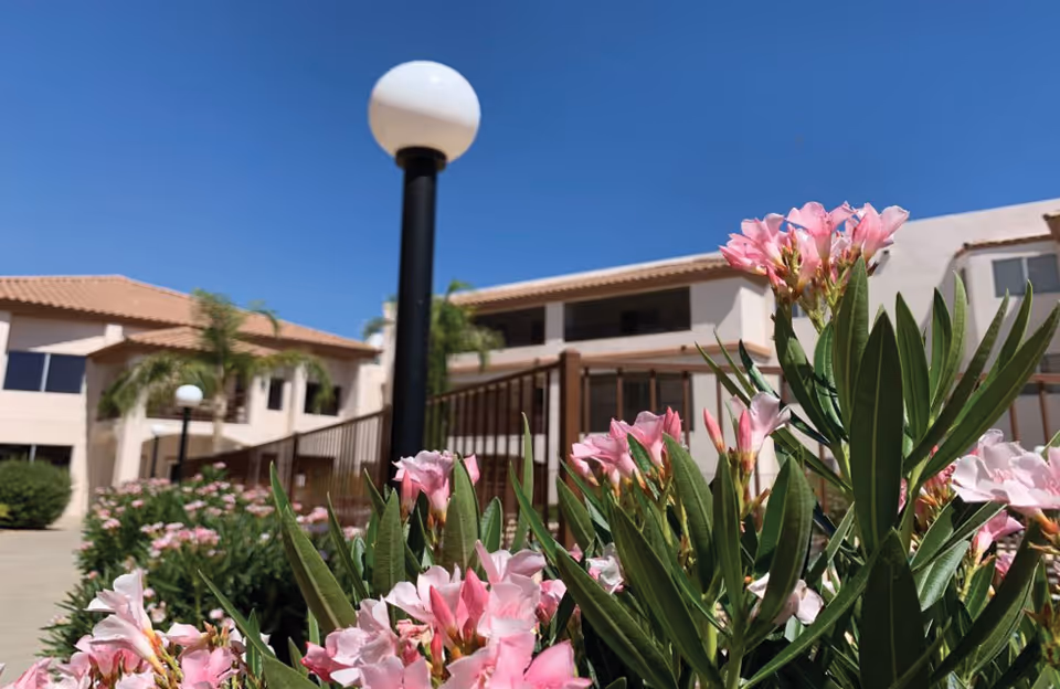 Close-up of pink flowers with green leaves in the foreground, with a multi-story beige building and lamp posts in the background under a clear blue sky at Ventana Winds Retirement Home.