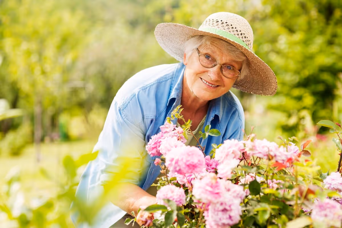 An elderly woman wearing glasses and a wide-brimmed straw hat is smiling while tending to pink flowers in a garden with lush greenery in the background.