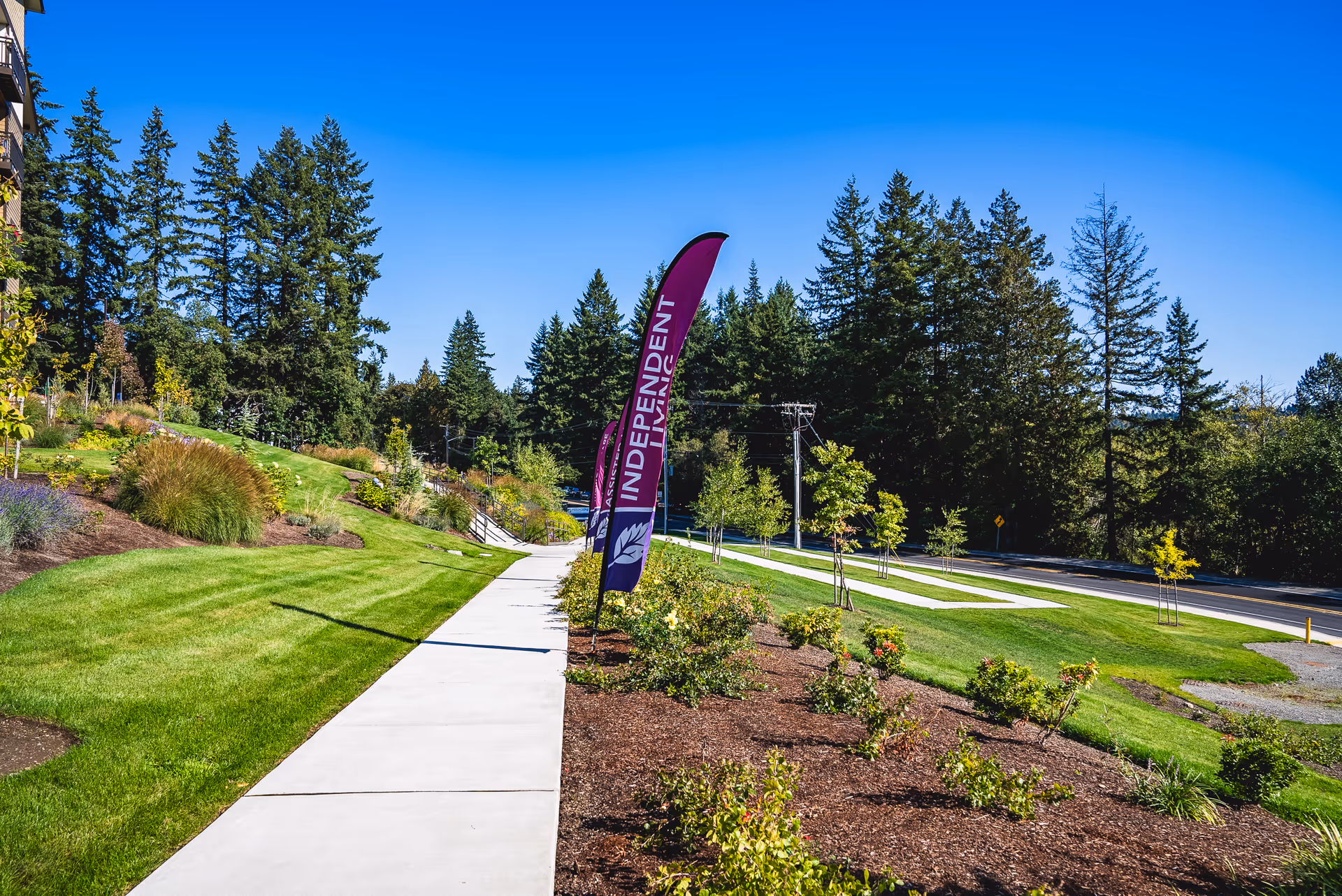 A sunny outdoor scene at Fieldstone on Clear Creek showing a paved walkway bordered by well-maintained grass and landscaped flower beds. Tall evergreen trees are visible in the background under a clear blue sky. A purple flag with the word 'INDEPENDENT' is placed along the walkway.