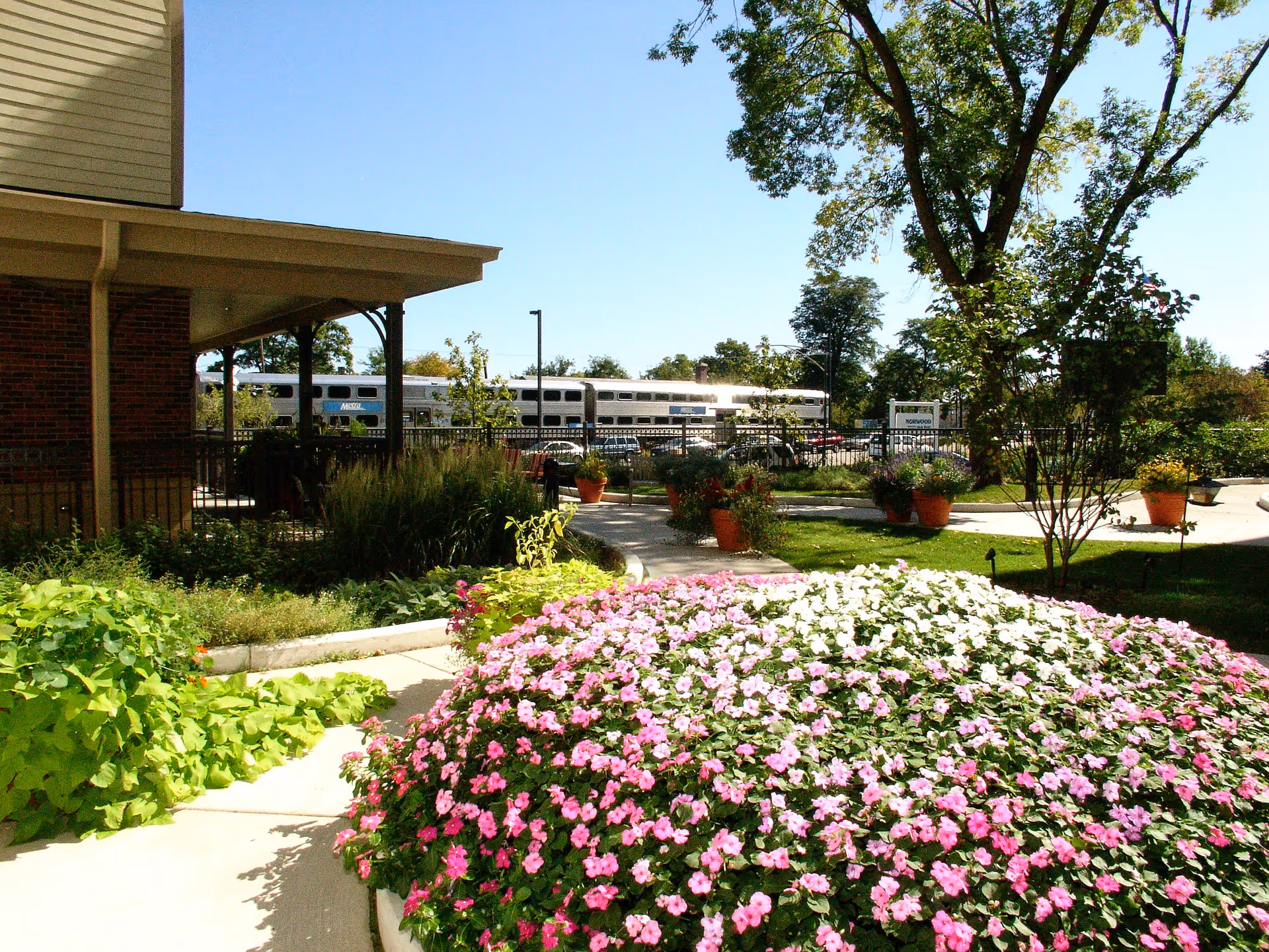 Outdoor garden area at Norwood Crossing with a large flower bed of pink and white flowers in the foreground, a paved walkway, potted plants, trees, and a building partially visible on the left side under a clear blue sky.