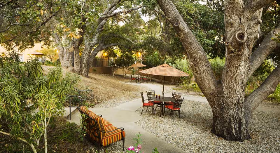 Outdoor seating area in a garden with large trees, a round table with four chairs and an umbrella, and a cushioned bench along a paved pathway surrounded by greenery.
