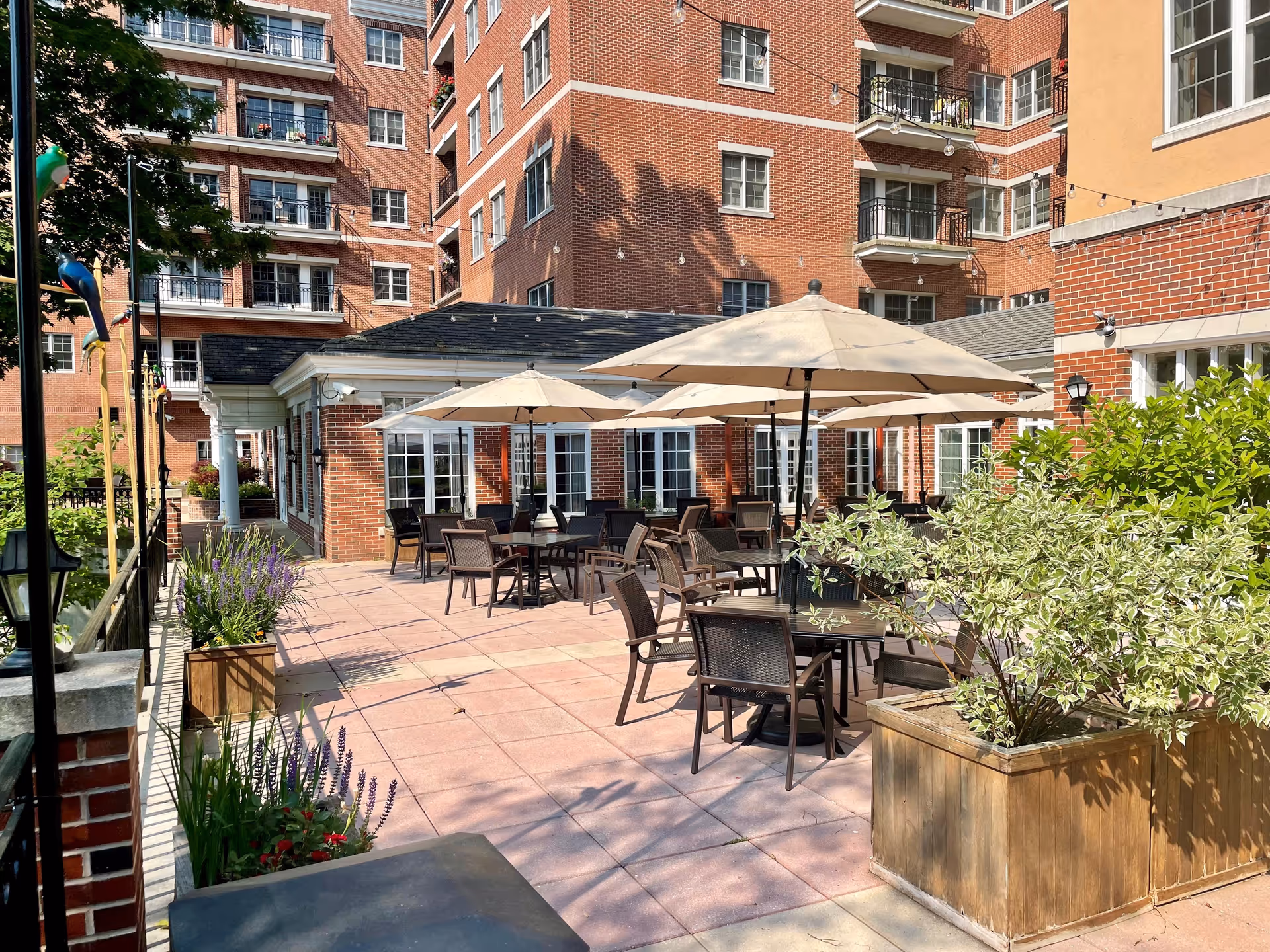 Outdoor patio area at Newbury Court with several tables and chairs under large beige umbrellas. The patio is surrounded by brick buildings with balconies and windows. There are planters with green and purple plants along the edges of the patio.