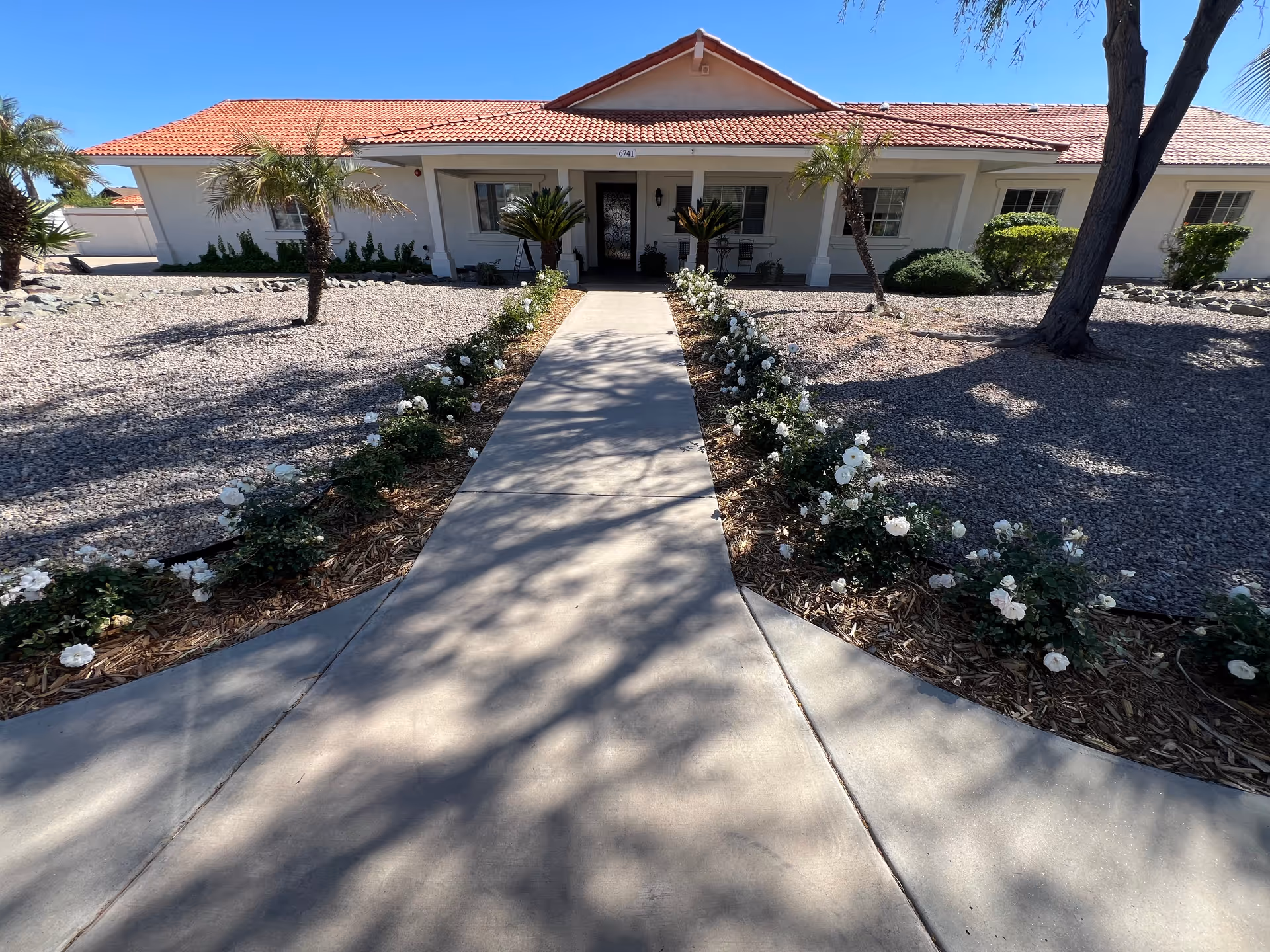 Front exterior view of a single-story building with a red tile roof and white walls. A concrete walkway lined with white flowering plants leads to the entrance, which has a decorative glass door. There are palm trees and other shrubs in the landscaped yard covered with gravel.