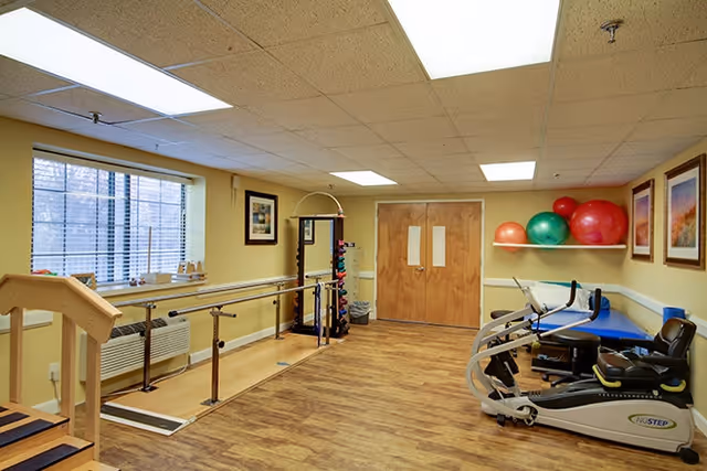 Therapy/exercise room with parallel walking bars, exercise machines, a treatment table, and colorful stability balls.