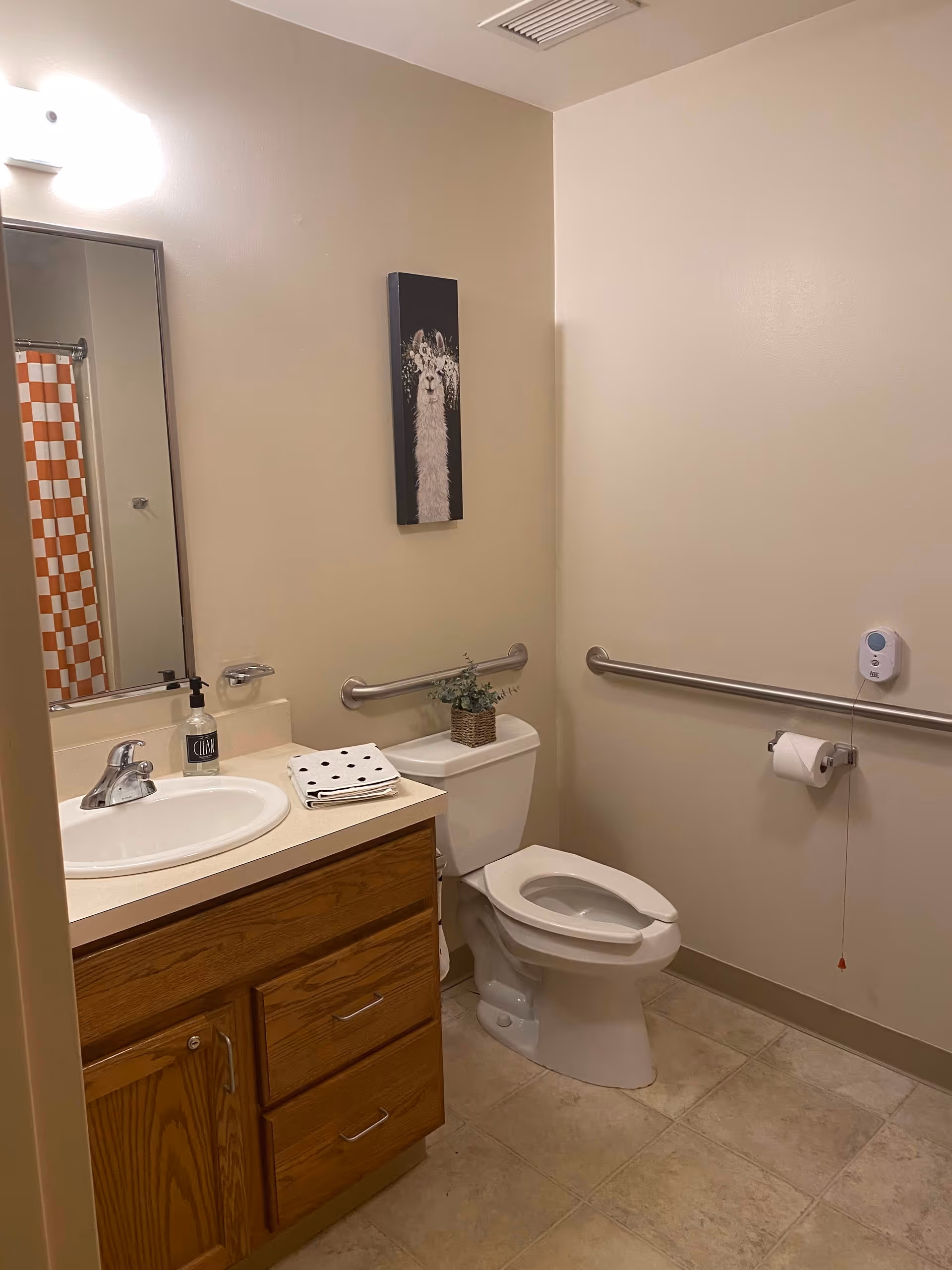 A clean and accessible bathroom with beige walls and tiled floor. It features a white toilet with a safety grab bar on the wall behind and beside it, a wooden vanity with a white sink, a mirror above the sink, a soap dispenser, and folded towels. There is a small decorative plant on the toilet tank and a framed picture of a llama on the wall. A shower curtain with an orange and white checkered pattern is partially visible in the mirror.