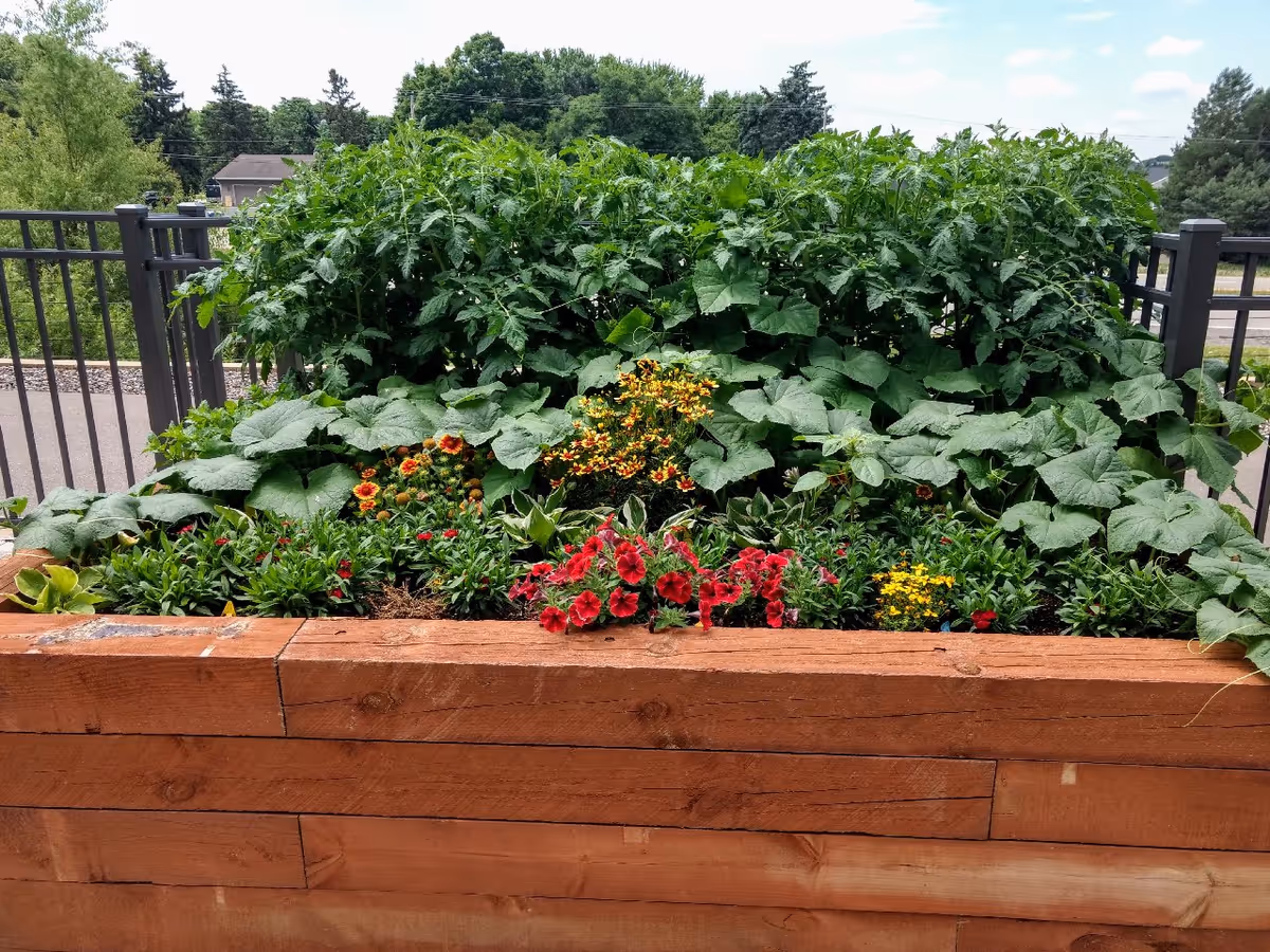 Wooden raised planter filled with green foliage and colorful flowers on an outdoor patio with a metal railing and trees beyond.