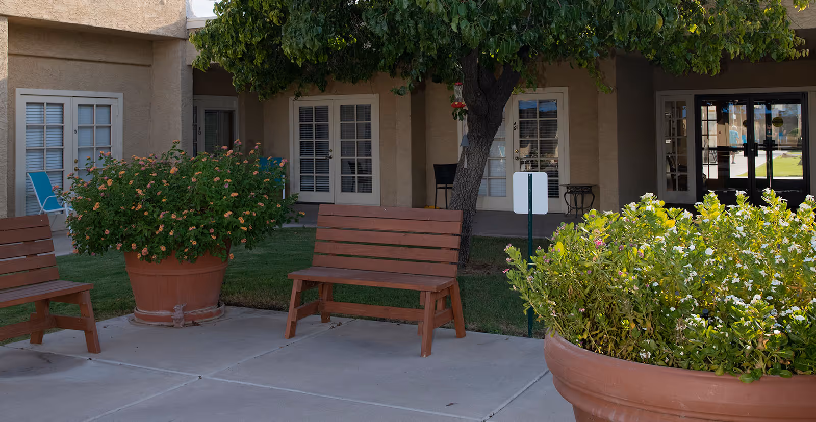 Courtyard with wooden benches, large potted flowering plants, a tree, and a covered building entrance with French doors.