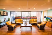 A bright and spacious living room with large windows letting in natural light. The room features two yellow cushioned sofas and two matching armchairs arranged around a wooden coffee table. There is a flat-screen TV mounted on the wall to the left, a small plant on a side table, and a wooden cabinet with a fish tank on the right. The floor is wooden, and the ceiling has recessed lighting.