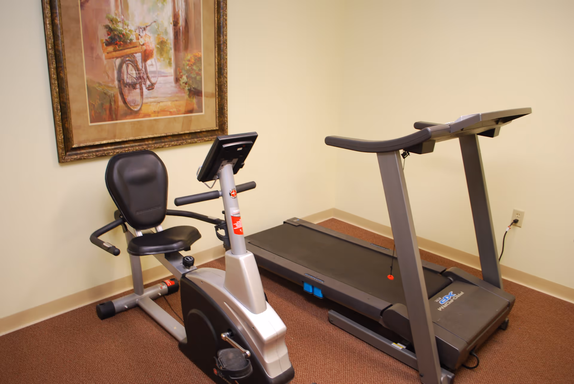 A small exercise room with a recumbent stationary bike and a treadmill on a brown carpeted floor. A framed painting of a bicycle with flowers hangs on the beige wall behind the bike.