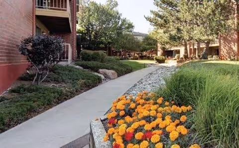 A landscaped outdoor walkway between brick buildings with green shrubs, trees, and a flower bed featuring yellow and orange flowers on the right side.