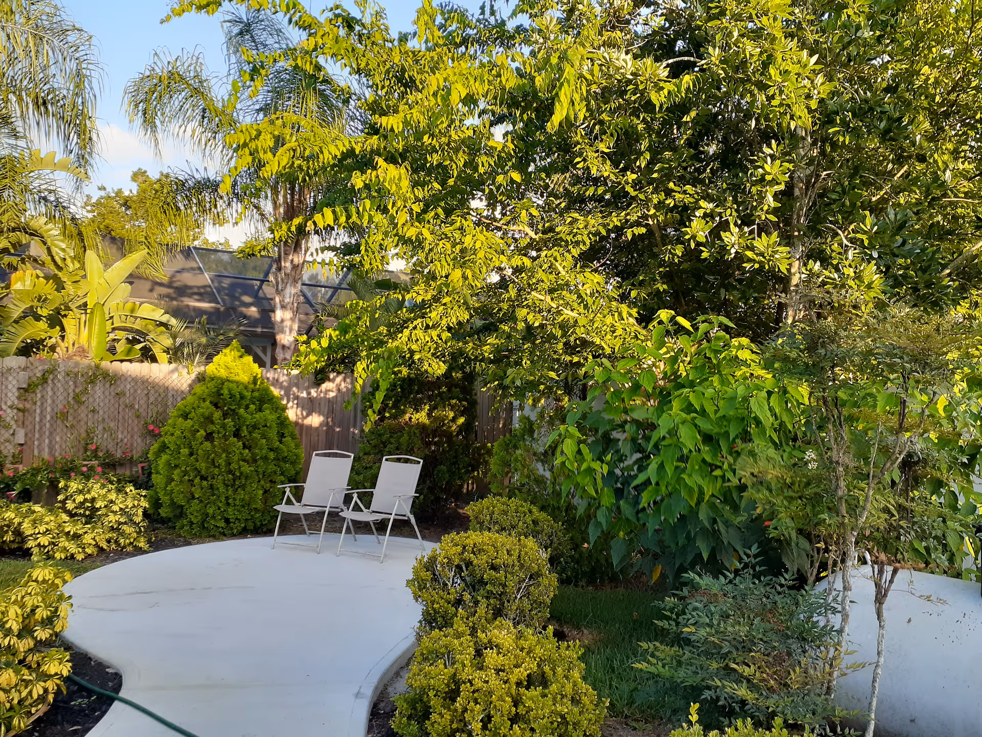 A peaceful outdoor garden area with a curved concrete pathway leading to two white metal chairs. The garden is lush with various green plants, bushes, and trees, enclosed by a wooden fence. The scene is bathed in warm sunlight under a clear blue sky.