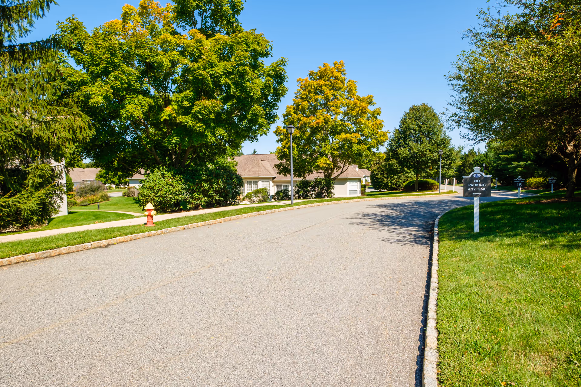 A paved road curves through a residential area with green grass and trees on both sides under a clear blue sky. There are houses partially visible behind the trees, a red fire hydrant on the left side, and several signs along the right side of the road including a 'No Parking Any Time' sign.