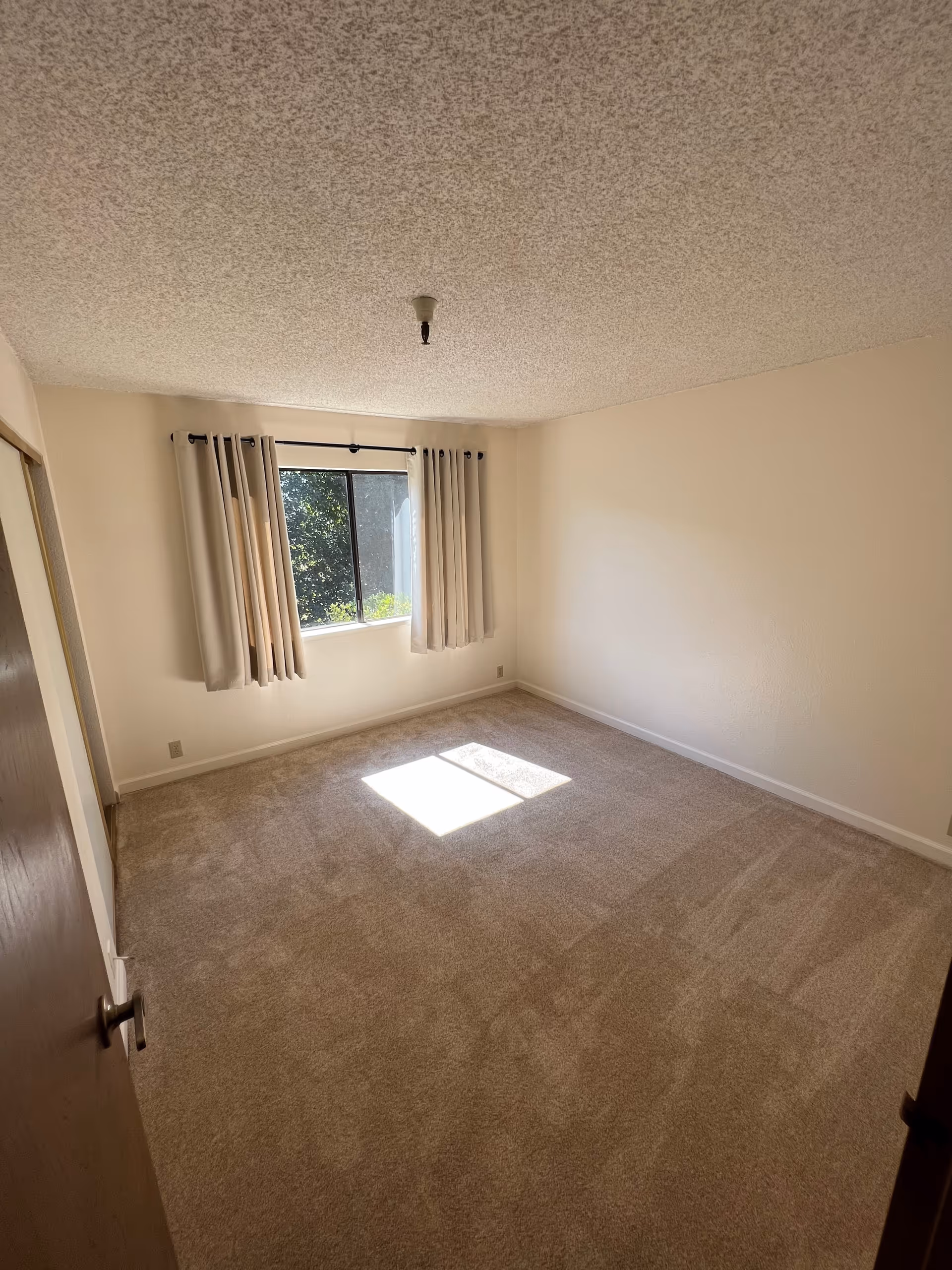 Empty bedroom with beige carpet, cream-colored walls, a window with beige curtains, and a ceiling light fixture without a bulb.