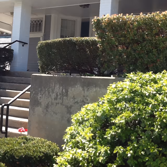 Outdoor view of the entrance to a building with concrete stairs, black handrails, trimmed bushes, and a covered porch area.