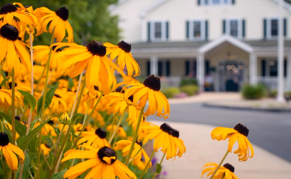 Bright yellow flowers in foreground with a senior living facility entrance in background.