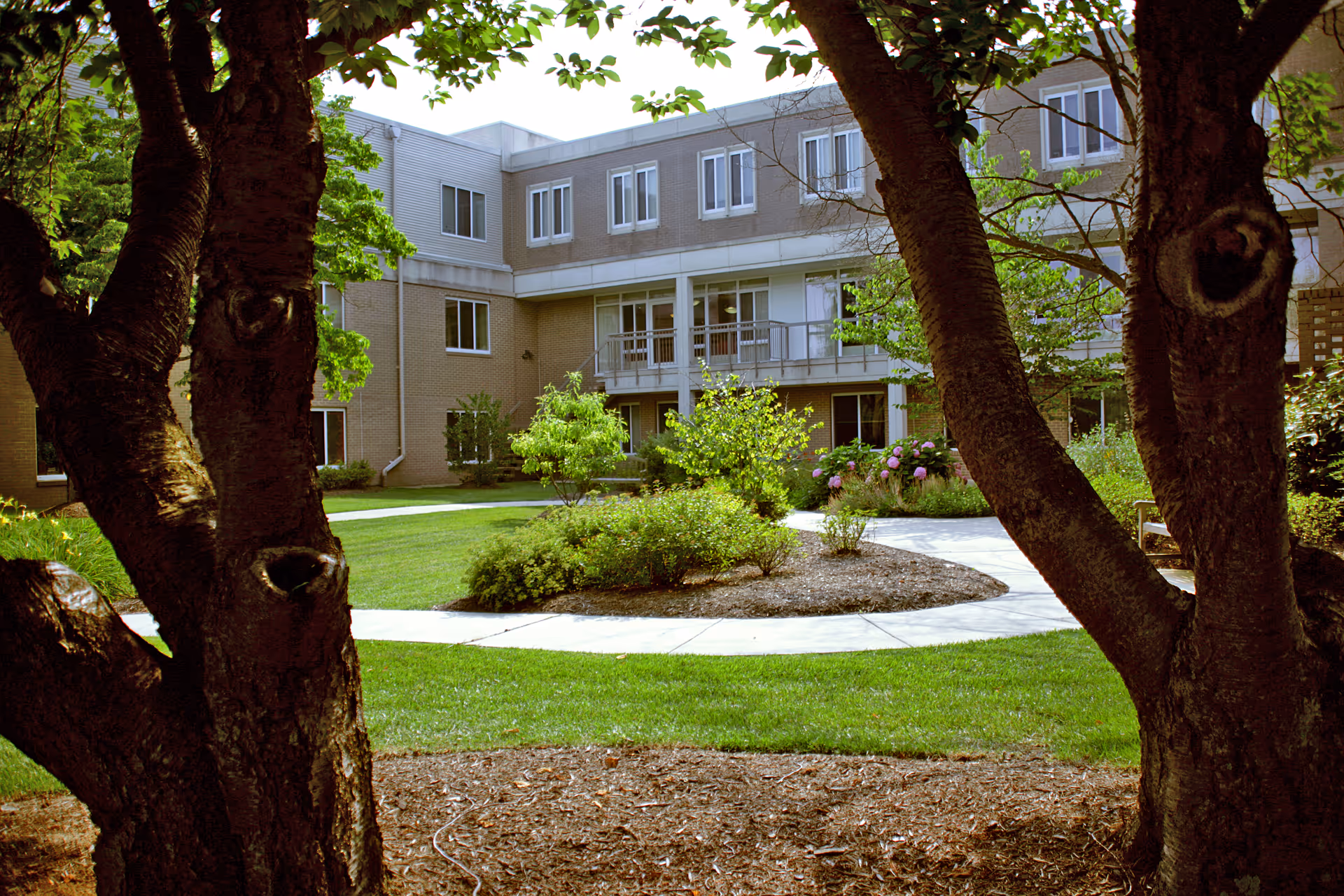 Courtyard with a curved walkway, landscaped beds and trees framed in front of a multi-story assisted living building.