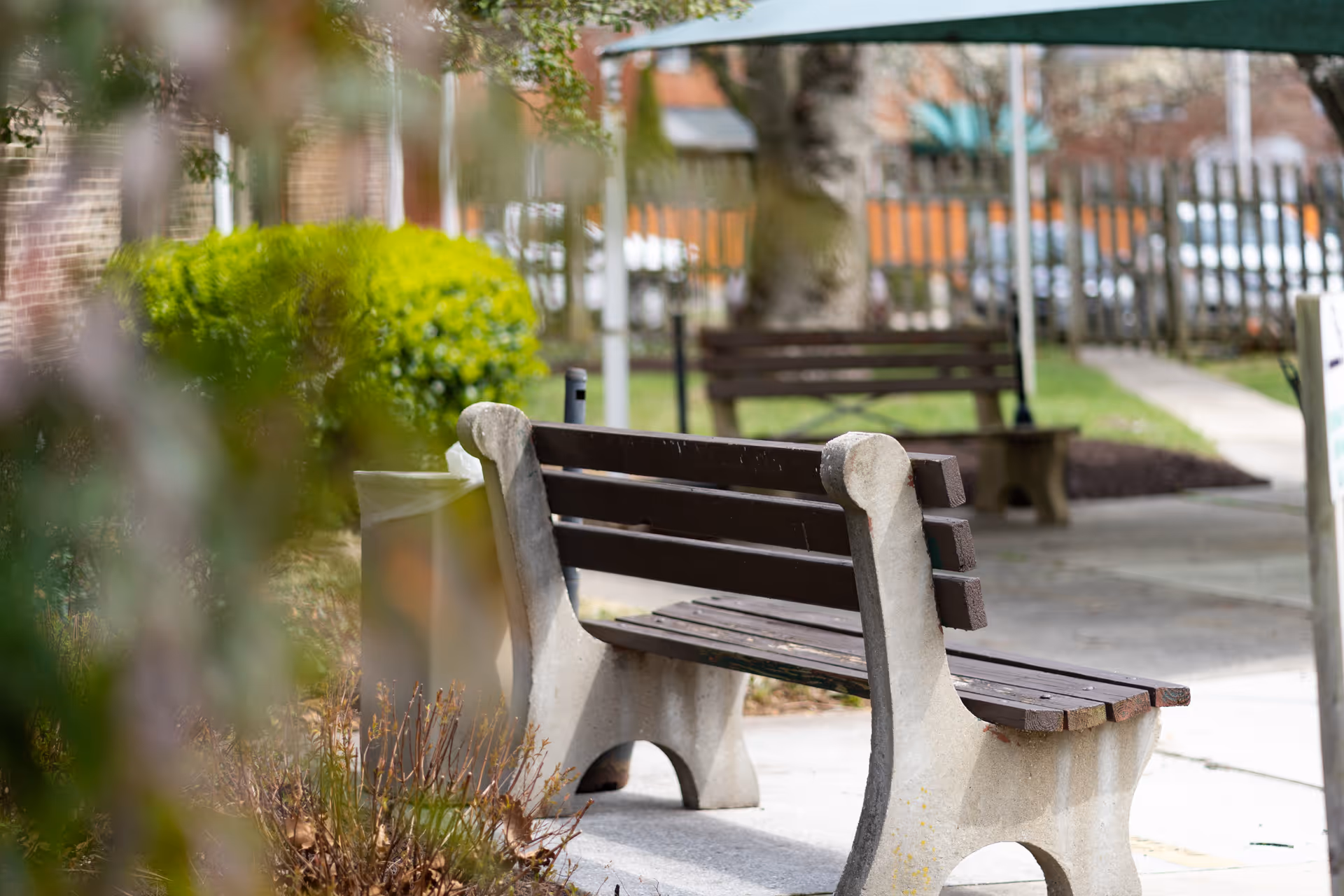 Outdoor scene showing two empty wooden benches with concrete supports along a paved pathway, surrounded by greenery including bushes and trees, with a fence and parked cars in the background.