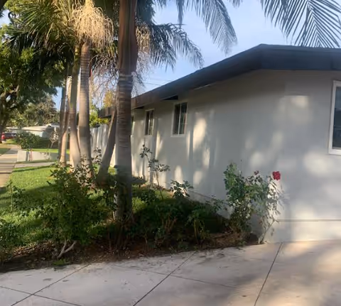 Exterior view of a single-story building with a flat roof, surrounded by palm trees and green shrubs, with a concrete walkway in the foreground under a clear sky.