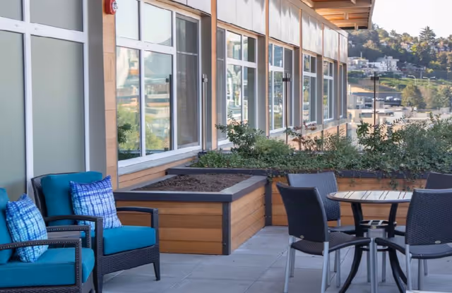 Outdoor patio area with blue cushioned chairs, a round table with black chairs, and raised garden beds along the building exterior with windows reflecting the surroundings.